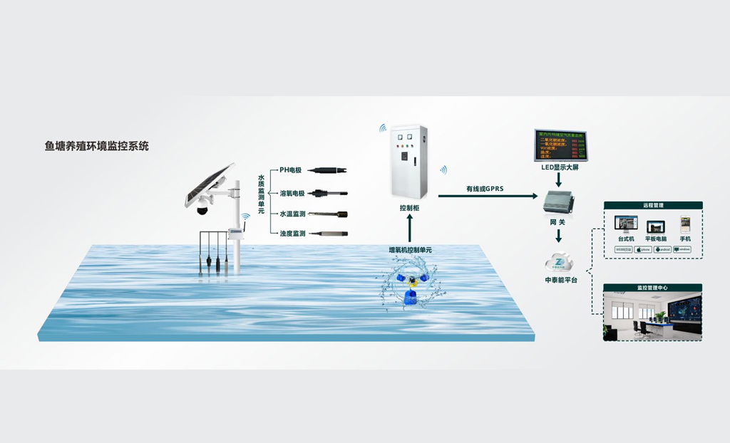 【蜂窝物联】智慧水产养殖解决方案