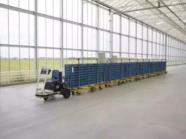 中国2.2亿农民干不过荷兰22万农民?荷兰农业发达的秘密就在这